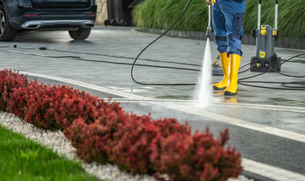 Best Factory Floor Cleaning  in Newbern, TN