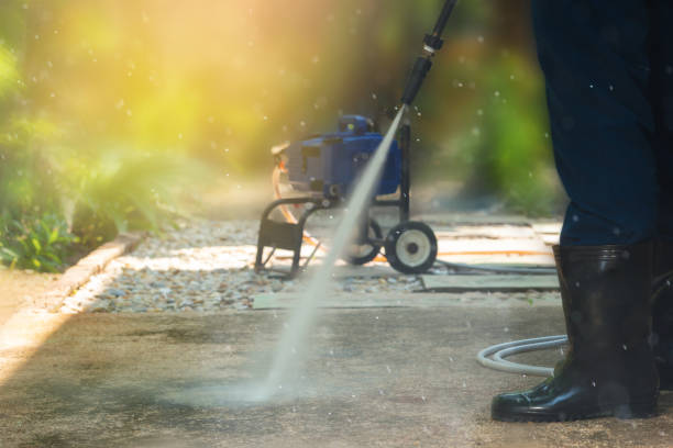 Best Fence Cleaning  in Newbern, TN